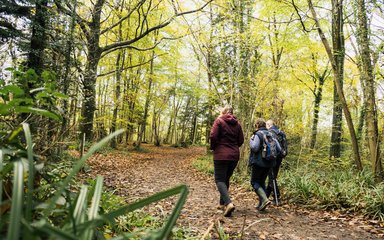 walkers enjoying a walk through nature in autumn 