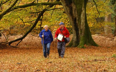 Older couple walking in the woods in autumn 