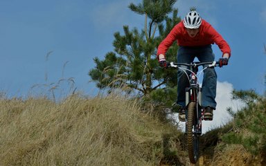 Mountain Biker in the Forest 