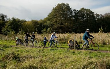 Families enjoying cycling in the forest