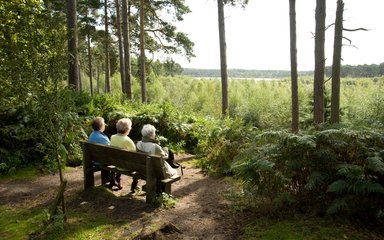 Three women sat on a bench enjoying the view in the woods