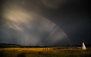 Jeskyns Community Woodland with a rainbow over the fields