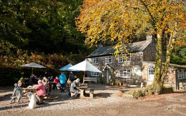 Cardinham Cafe in the sunshine 