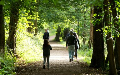 Family walking on a woodland trail