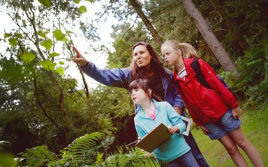 Children learning in the forest