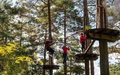 Family on Go Ape tree top adventure 