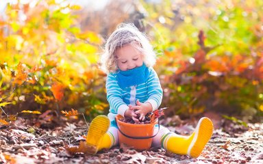 Young girl playing with a bucket of autumn leaves