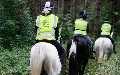 Three horse riders in high vis in the forest