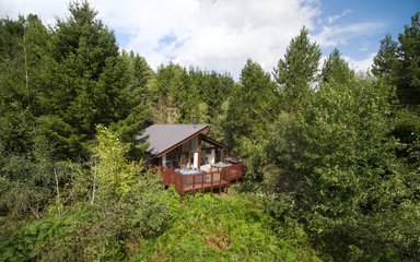 Cabin in the forest