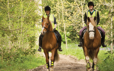 Two horse riders in high vis and helmets on a forest path