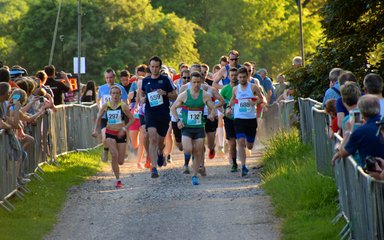 runners at the start of a race at Westonbirt