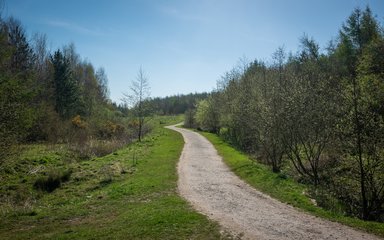 Footpath through trees at Sutton Manor