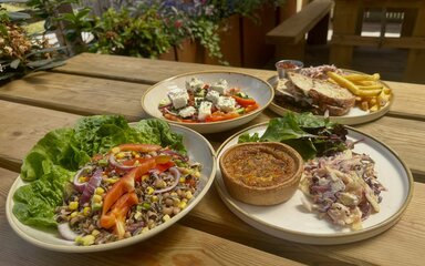 A selection of seasonal dishes at Haldon Forest Park cafe, including a quiche and toasted sandwich