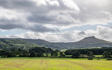 A view of arable land with Roseberry Topping in the skyline