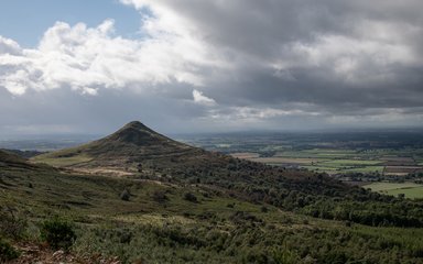 Scenic landscape with hill and forest