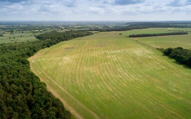 Photo from above of open field in between existing woodland