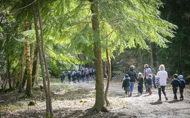 A class of primay school children walking through a forest in the sunshine
