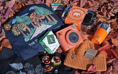 Sweatshirt, camera, flask, lunch bag and hat together on a pile of autumn leaves.