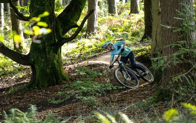 Mountain biker in a forest