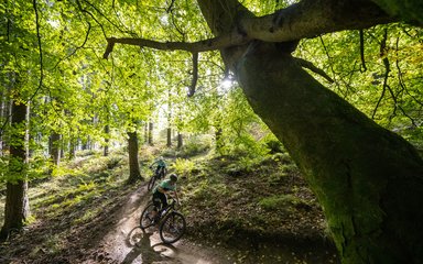 Two riders on a mountain bike trail in spring