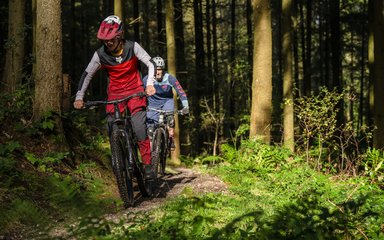 Two mountain bike riders on a singletrack forest trail