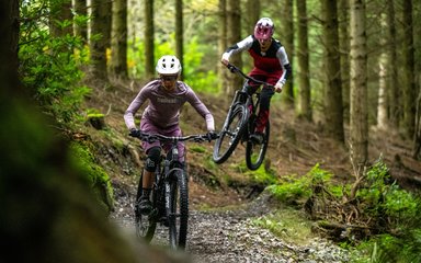 Two mountain bike riders on a forest cycle trail