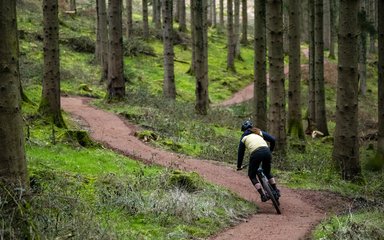 Rider on cycling trail in the Forest of Dean