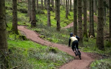 Rider on cycling trail in the Forest of Dean