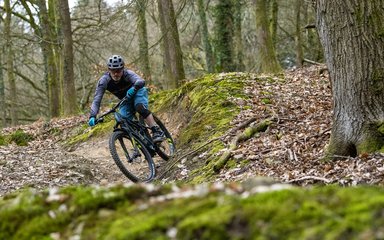 Mountain biker in the Forest of Dean