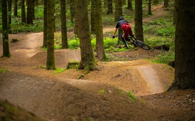 Mountain biker jumping on a trail which winds through the trees