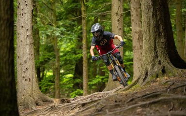 Mountain biker riding over roots wearing a full face helmet