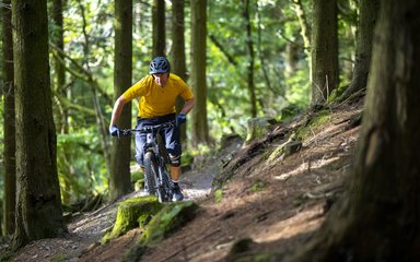 Mountain bike rider on cycling trail