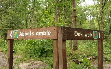 Sign post in Abbot's Wood  