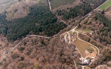 Aerial view of forest