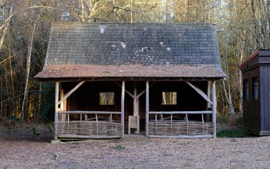 old wooden house in forest