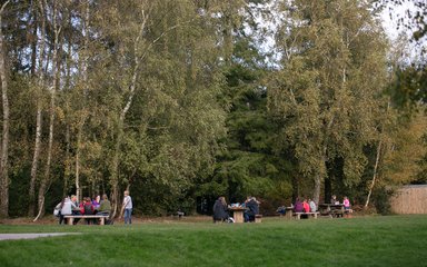 Four picnic tables in the forest