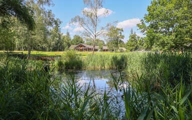 A summer view across a pond towards a woodland building in the distance.
