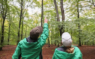 Two foresters looking up in the forest, one of them pointing towards the canopy of a tree in front of them