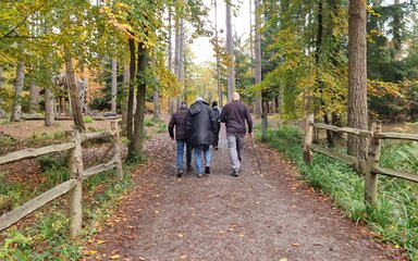 A group of people walking along a forest trail.