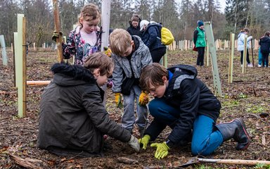 4 children crowd round a small tree they are planting into the ground