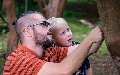 A Dad and young boy look at a spider climbing on a tree trunk