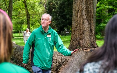 A sensing nature guide in green talks to a group of people, he stands by a felled log, which he has his hand placed on to feel the bark.