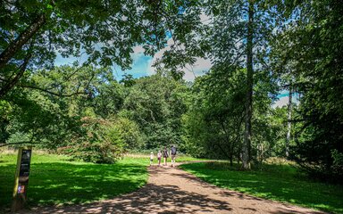 A family walk away from the camera along a brown path through a beautiful woodland with lush green grass and tall trees.