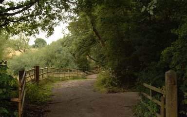 A woodland path shown with wooden fence on one side and trees on the other