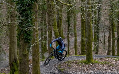 Mountain biker on forest trail