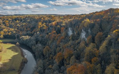 Autumn colour in the Forest of Dean 