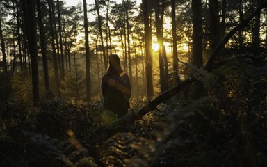 Woman stands in sunshine at dusk, in forest