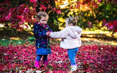 children Autumn