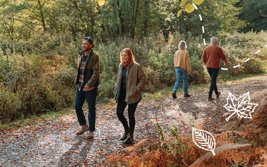 Four people walking along a woodland path surrounded by autumn foliage and trees.