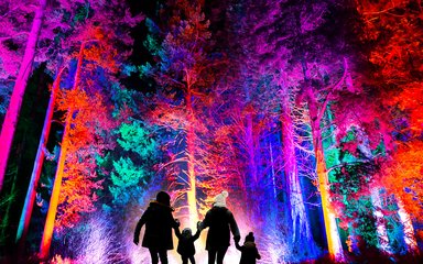 A family holding hands looking at the colourful trees